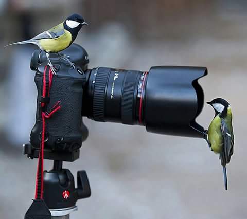 اضغط على الصورة لعرض أكبر.&nbsp;

الإسم:	FB_IMG_1507862829356.jpg&nbsp;
مشاهدات:	1&nbsp;
الحجم:	16.2 كيلوبايت&nbsp;
الهوية:	864129