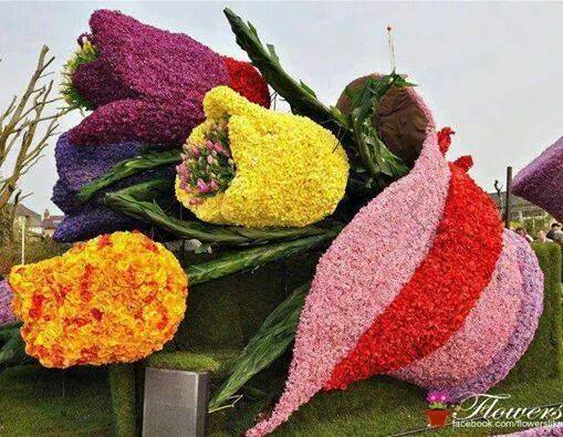 اضغط على الصورة لعرض أكبر.&nbsp;

الإسم:	10340072_712207038838526_4944612922801393881_n (1).jpg&nbsp;
مشاهدات:	1&nbsp;
الحجم:	51.1 كيلوبايت&nbsp;
الهوية:	840536