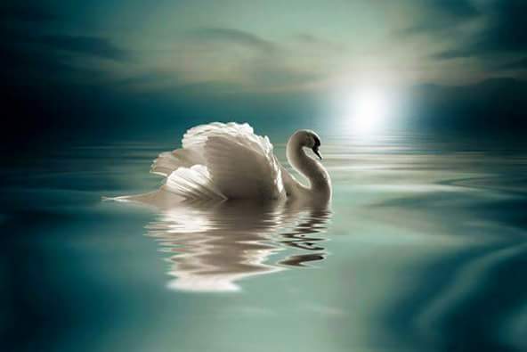 اضغط على الصورة لعرض أكبر.&nbsp;

الإسم:	FB_IMG_1459114234944.jpg&nbsp;
مشاهدات:	2&nbsp;
الحجم:	13.7 كيلوبايت&nbsp;
الهوية:	860216