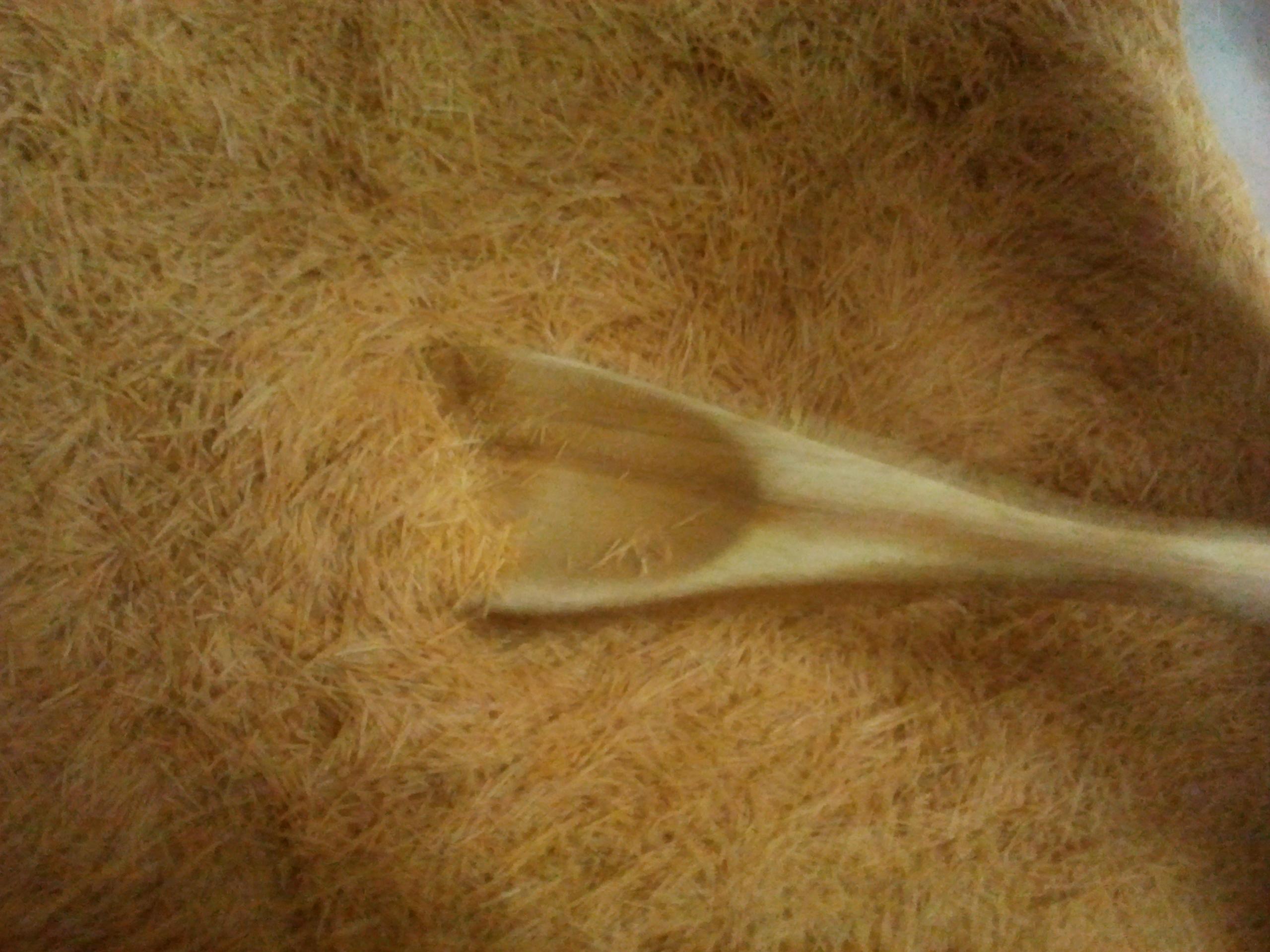 اضغط على الصورة لعرض أكبر.&nbsp;

الإسم:	2012-02-25 12.35.51.jpg&nbsp;
مشاهدات:	1&nbsp;
الحجم:	405.0 كيلوبايت&nbsp;
الهوية:	850892