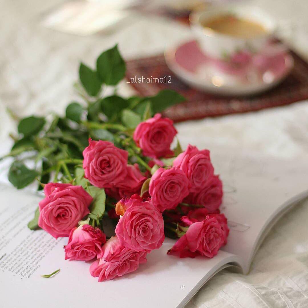 اضغط على الصورة لعرض أكبر.&nbsp;

الإسم:	photo_2018-01-23_12-25-23.jpg&nbsp;
مشاهدات:	2&nbsp;
الحجم:	91.5 كيلوبايت&nbsp;
الهوية:	863780