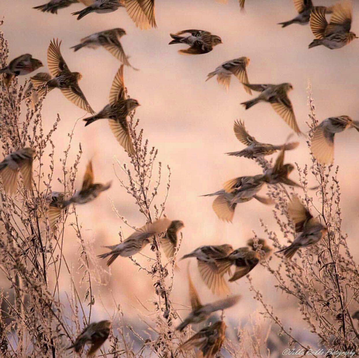 اضغط على الصورة لعرض أكبر.&nbsp;

الإسم:	photo_2018-05-19_23-46-37.jpg&nbsp;
مشاهدات:	1&nbsp;
الحجم:	216.1 كيلوبايت&nbsp;
الهوية:	841087