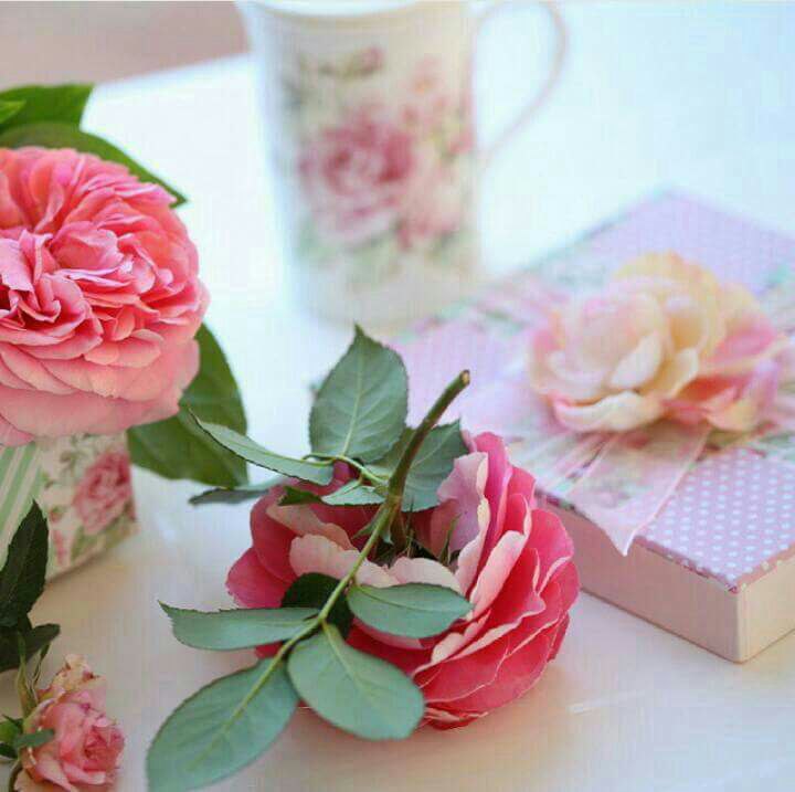 اضغط على الصورة لعرض أكبر.&nbsp;

الإسم:	IMG_20160321_220904.jpg&nbsp;
مشاهدات:	3&nbsp;
الحجم:	52.7 كيلوبايت&nbsp;
الهوية:	864046