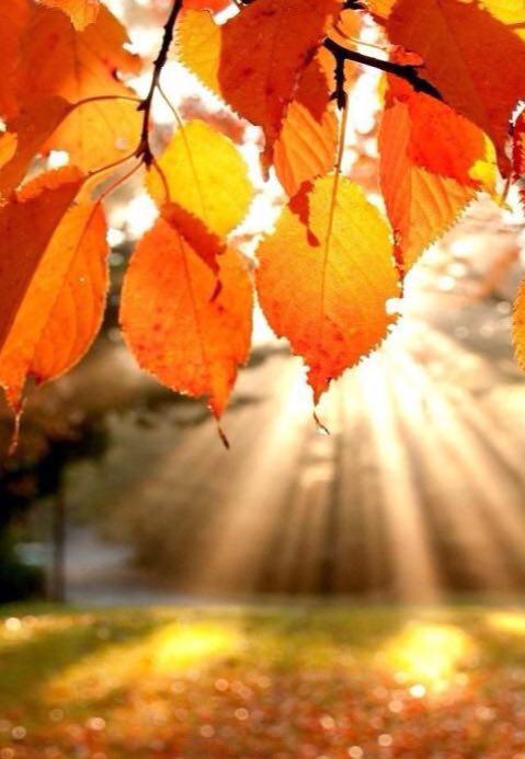 اضغط على الصورة لعرض أكبر.&nbsp;

الإسم:	photo_2016-11-25_22-16-33.jpg&nbsp;
مشاهدات:	1&nbsp;
الحجم:	42.1 كيلوبايت&nbsp;
الهوية:	863658