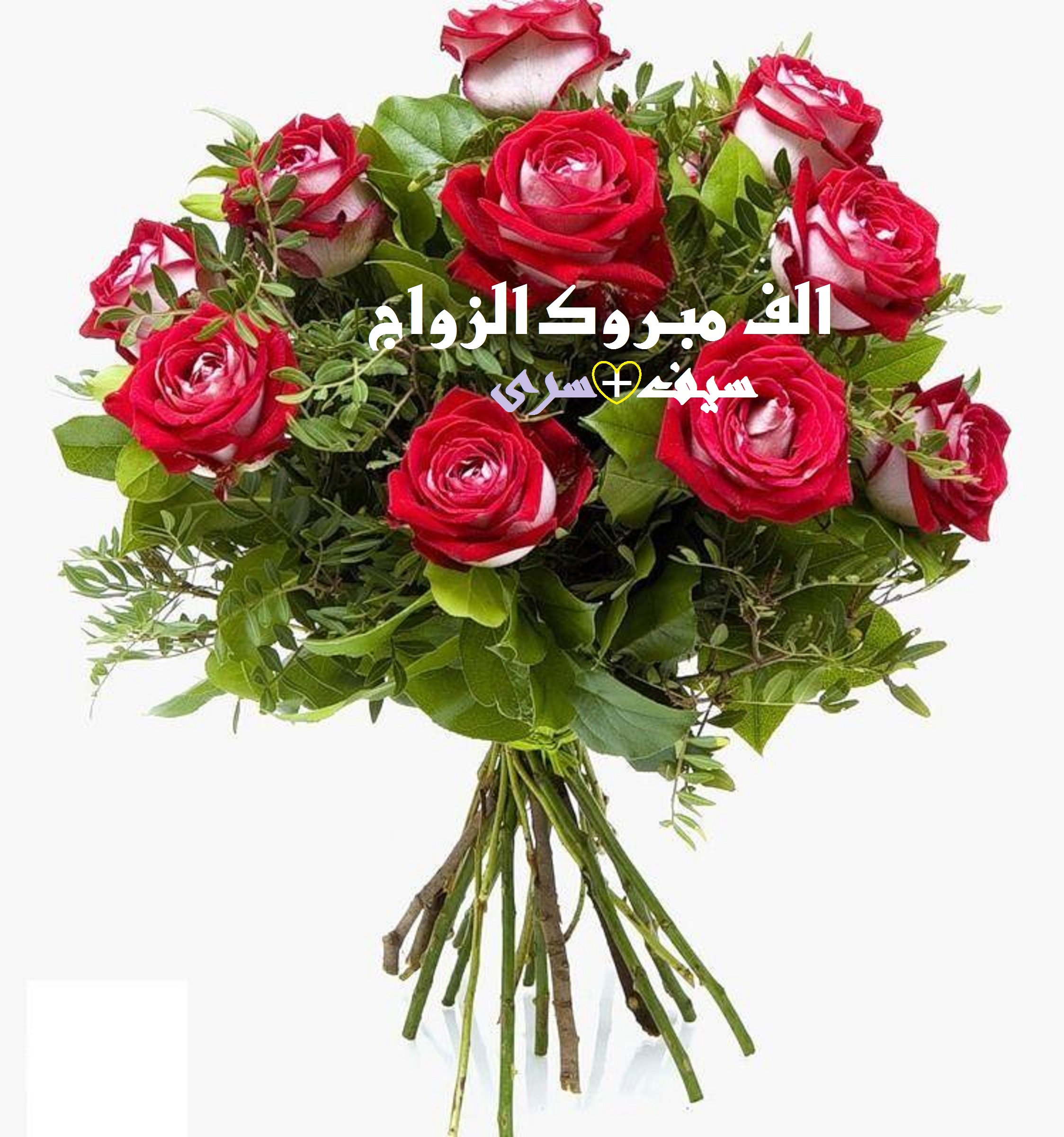 اضغط على الصورة لعرض أكبر.&nbsp;

الإسم:	291738.jpg&nbsp;
مشاهدات:	1&nbsp;
الحجم:	900.0 كيلوبايت&nbsp;
الهوية:	859905