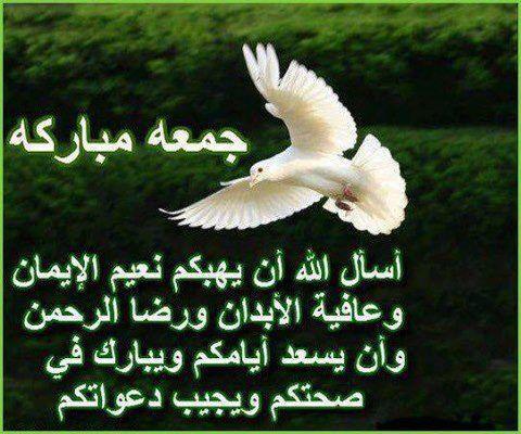 اضغط على الصورة لعرض أكبر.&nbsp;

الإسم:	صور عن يوم الجمعة -1.jpg&nbsp;
مشاهدات:	1&nbsp;
الحجم:	42.7 كيلوبايت&nbsp;
الهوية:	834100