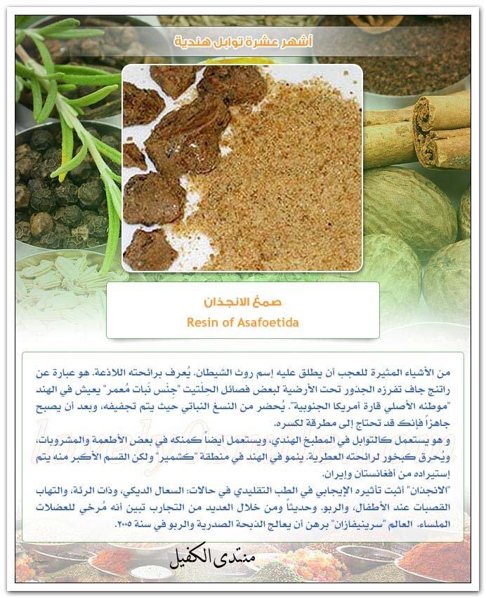 اضغط على الصورة لعرض أكبر.&nbsp;

الإسم:	z4b08vu1.jpg&nbsp;
مشاهدات:	1&nbsp;
الحجم:	115.5 كيلوبايت&nbsp;
الهوية:	849324