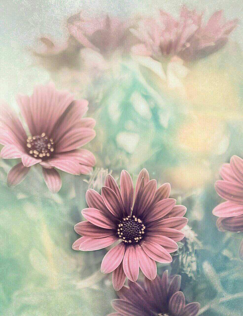 اضغط على الصورة لعرض أكبر.&nbsp;

الإسم:	photo_2017-06-14_17-18-57.jpg&nbsp;
مشاهدات:	1&nbsp;
الحجم:	132.9 كيلوبايت&nbsp;
الهوية:	861612