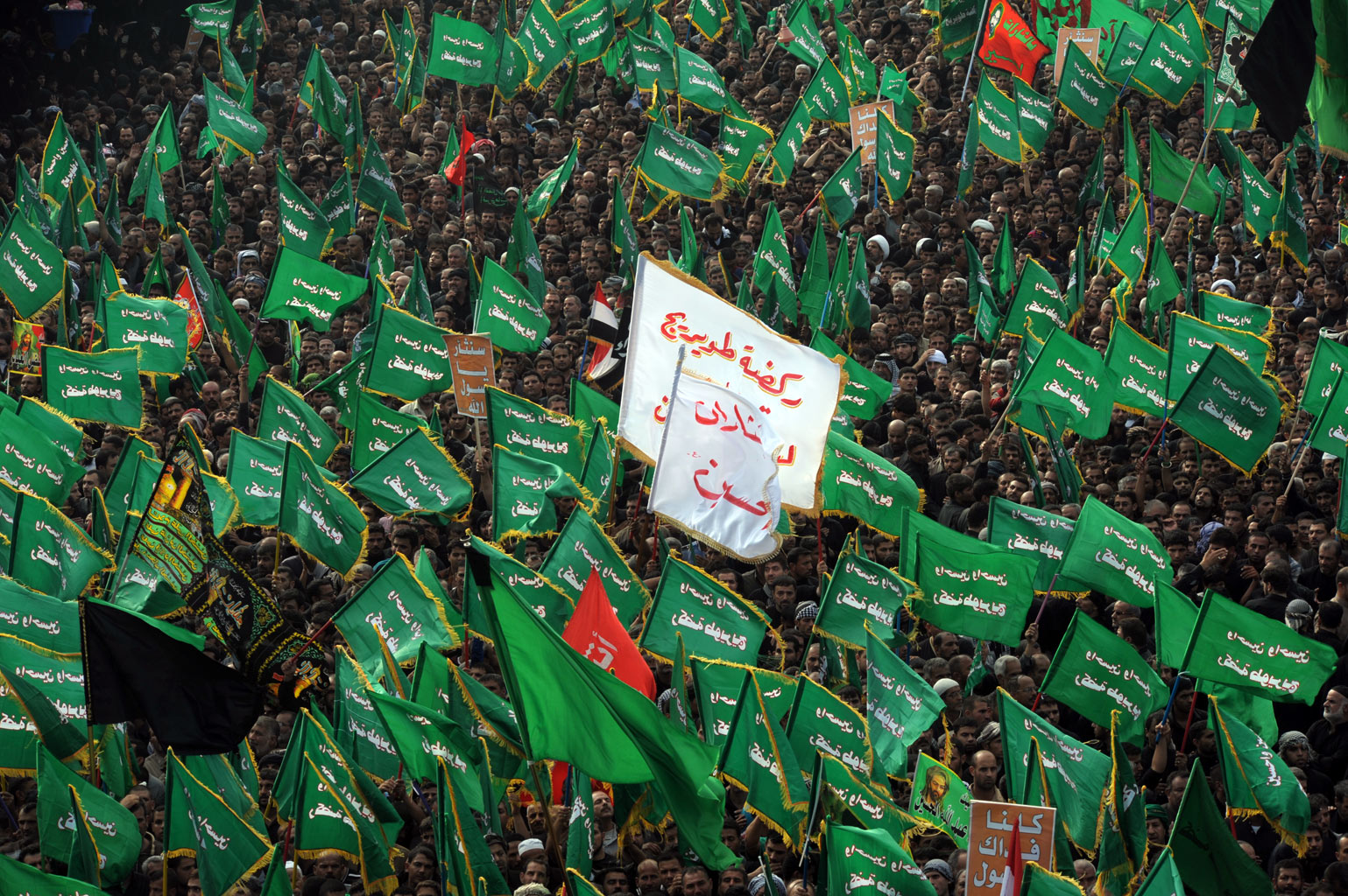 اضغط على الصورة لعرض أكبر.&nbsp;

الإسم:	DSC_6625.jpg&nbsp;
مشاهدات:	1&nbsp;
الحجم:	530.1 كيلوبايت&nbsp;
الهوية:	850626