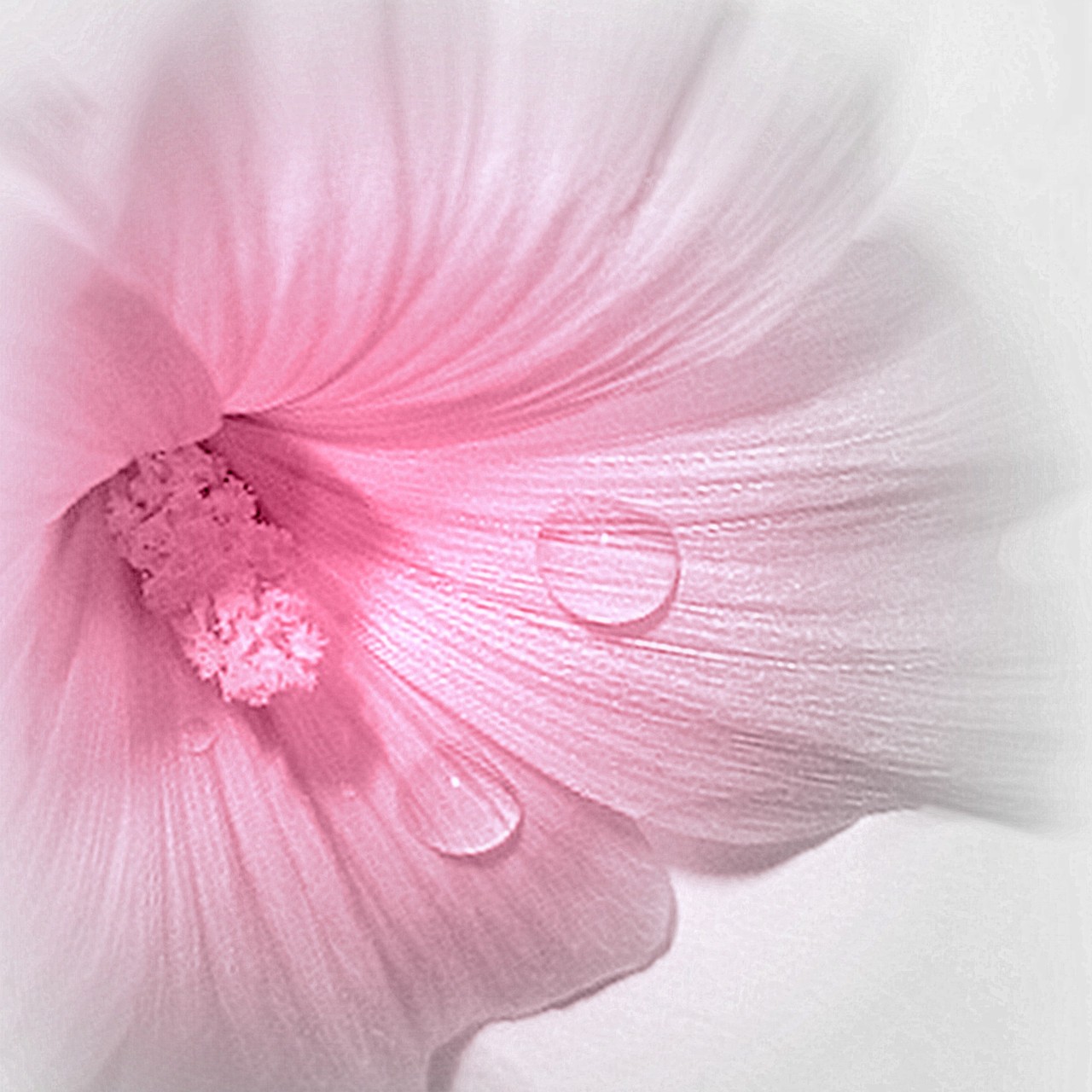 اضغط على الصورة لعرض أكبر.&nbsp;

الإسم:	IMG-20150114-WA0011.jpg&nbsp;
مشاهدات:	1&nbsp;
الحجم:	259.5 كيلوبايت&nbsp;
الهوية:	864018