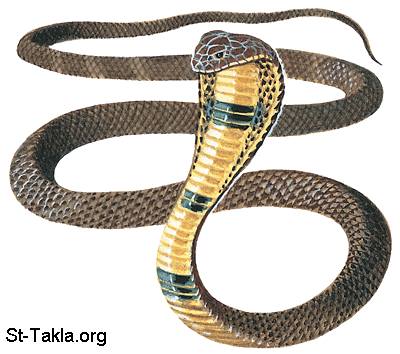 اضغط على الصورة لعرض أكبر.&nbsp;

الإسم:	1395421_581897015209094_1167060869_n.jpg&nbsp;
مشاهدات:	1&nbsp;
الحجم:	26.3 كيلوبايت&nbsp;
الهوية:	832698