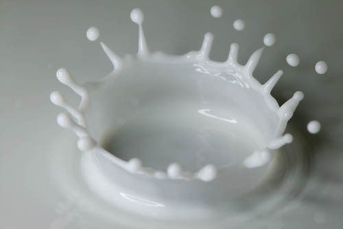 اضغط على الصورة لعرض أكبر.&nbsp;

الإسم:	herb_486a27b89461e8_74210321.jpg&nbsp;
مشاهدات:	1&nbsp;
الحجم:	32.4 كيلوبايت&nbsp;
الهوية:	847876