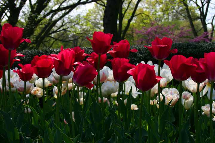 اضغط على الصورة لعرض أكبر.&nbsp;

الإسم:	image-793959e2aa89e5bec50395eacb9cd624076e6090ea2a1f2580c5654c3fad6bc4-V.jpg&nbsp;
مشاهدات:	1&nbsp;
الحجم:	199.8 كيلوبايت&nbsp;
الهوية:	862037