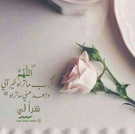 اضغط على الصورة لعرض أكبر.&nbsp;

الإسم:	image-0-02-01-4c42a5e187a6d9a2626ae898bbb1cf414604b737b574a9746770b80d0180400a-V.jpg&nbsp;
مشاهدات:	3&nbsp;
الحجم:	45.6 كيلوبايت&nbsp;
الهوية:	861341