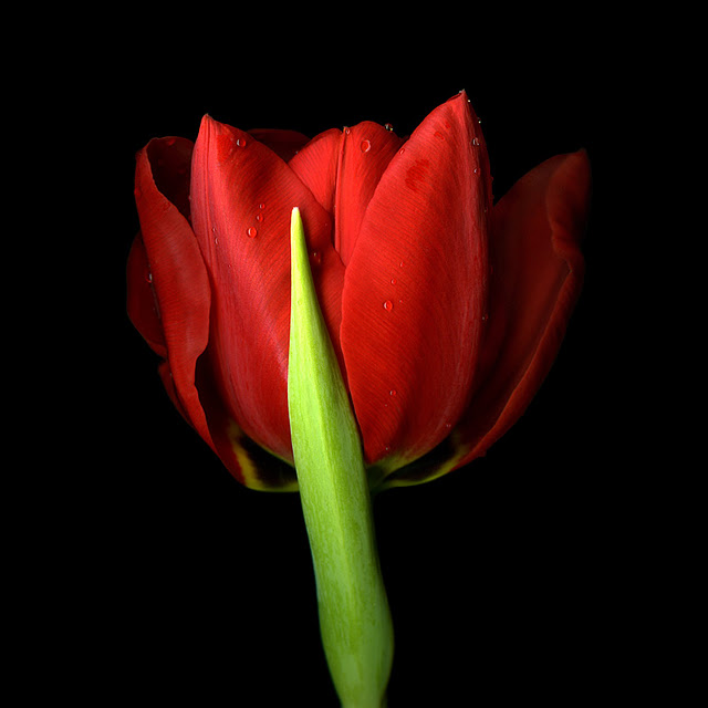 اضغط على الصورة لعرض أكبر.&nbsp;

الإسم:	EN GARDE...jpg&nbsp;
مشاهدات:	1&nbsp;
الحجم:	49.8 كيلوبايت&nbsp;
الهوية:	848148