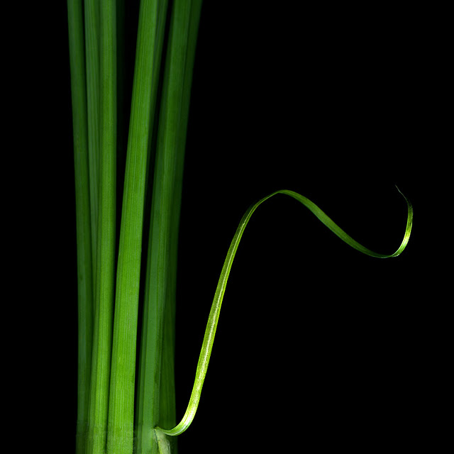 اضغط على الصورة لعرض أكبر.&nbsp;

الإسم:	INSOUCIANCE.jpg&nbsp;
مشاهدات:	1&nbsp;
الحجم:	41.7 كيلوبايت&nbsp;
الهوية:	848151