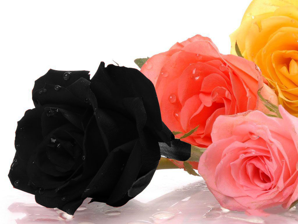 اضغط على الصورة لعرض أكبر.&nbsp;

الإسم:	36458798.jpg&nbsp;
مشاهدات:	1&nbsp;
الحجم:	114.2 كيلوبايت&nbsp;
الهوية:	830117