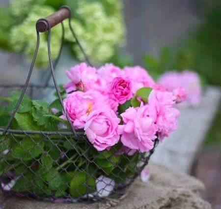 اضغط على الصورة لعرض أكبر.&nbsp;

الإسم:	10374509_514149778724397_714285976705304654_n.jpg&nbsp;
مشاهدات:	1&nbsp;
الحجم:	24.0 كيلوبايت&nbsp;
الهوية:	863482