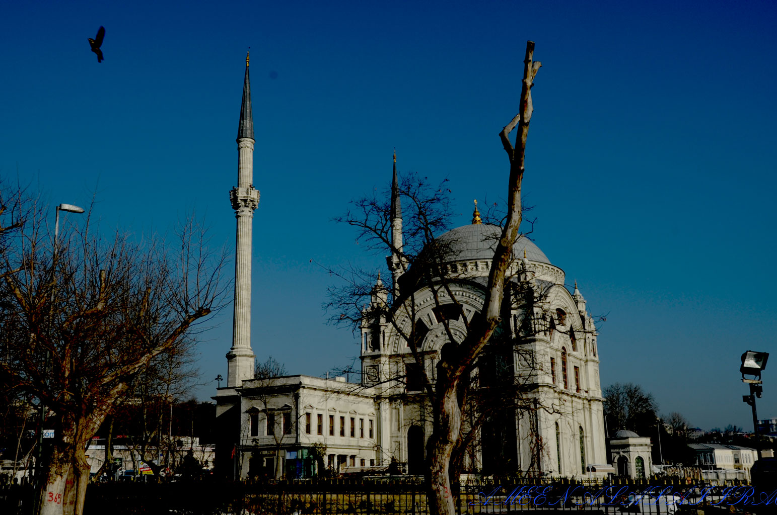 اضغط على الصورة لعرض أكبر.&nbsp;

الإسم:	DSC_5221.jpg&nbsp;
مشاهدات:	1&nbsp;
الحجم:	307.6 كيلوبايت&nbsp;
الهوية:	848386