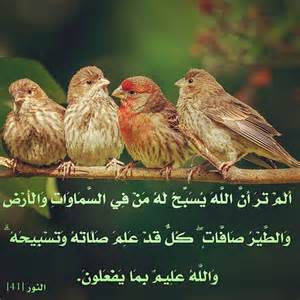 اضغط على الصورة لعرض أكبر.&nbsp;

الإسم:	تسيح.jpg&nbsp;
مشاهدات:	1&nbsp;
الحجم:	16.5 كيلوبايت&nbsp;
الهوية:	861062