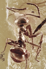 اضغط على الصورة لعرض أكبر.&nbsp;

الإسم:	image.png&nbsp;
مشاهدات:	0&nbsp;
الحجم:	119.2 كيلوبايت&nbsp;
الهوية:	1063580