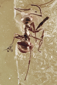 اضغط على الصورة لعرض أكبر.&nbsp;

الإسم:	image.png&nbsp;
مشاهدات:	0&nbsp;
الحجم:	113.3 كيلوبايت&nbsp;
الهوية:	1063582