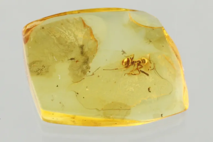 اضغط على الصورة لعرض أكبر.&nbsp;

الإسم:	image.png&nbsp;
مشاهدات:	0&nbsp;
الحجم:	107.3 كيلوبايت&nbsp;
الهوية:	1063583