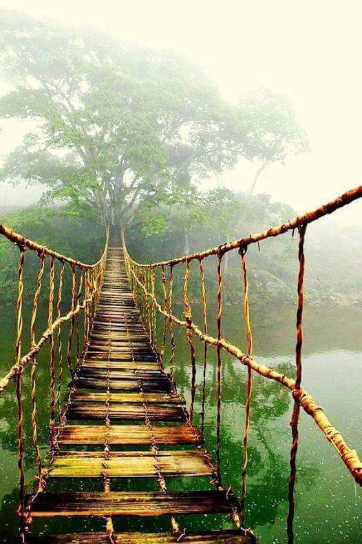 اضغط على الصورة لعرض أكبر.&nbsp;

الإسم:	FB_IMG_1471396693849.jpg&nbsp;
مشاهدات:	2&nbsp;
الحجم:	74.3 كيلوبايت&nbsp;
الهوية:	860551