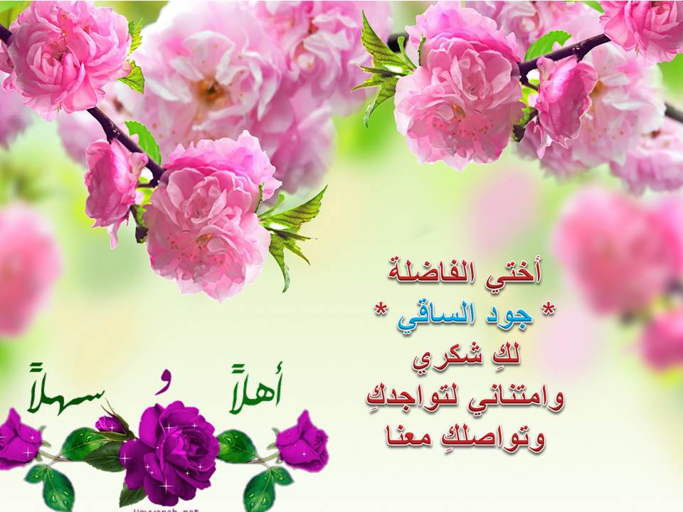 اضغط على الصورة لعرض أكبر.&nbsp;

الإسم:	شريحة1.JPG&nbsp;
مشاهدات:	1&nbsp;
الحجم:	79.3 كيلوبايت&nbsp;
الهوية:	834370