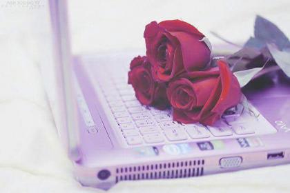 اضغط على الصورة لعرض أكبر.&nbsp;

الإسم:	received_1790833294511840.jpg&nbsp;
مشاهدات:	1&nbsp;
الحجم:	14.0 كيلوبايت&nbsp;
الهوية:	862520