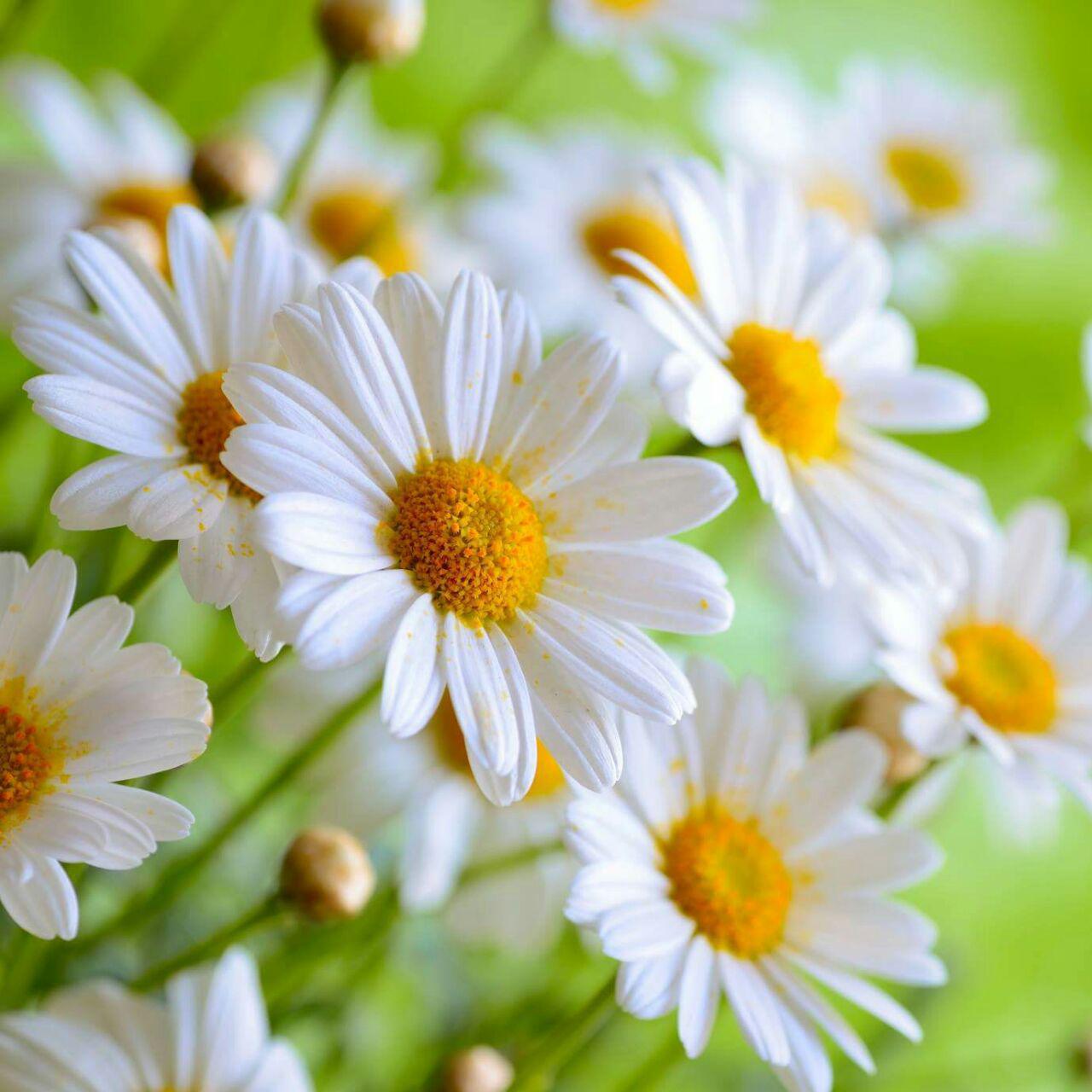 اضغط على الصورة لعرض أكبر.&nbsp;

الإسم:	photo_2017-08-30_23-16-46.jpg&nbsp;
مشاهدات:	2&nbsp;
الحجم:	130.4 كيلوبايت&nbsp;
الهوية:	862208