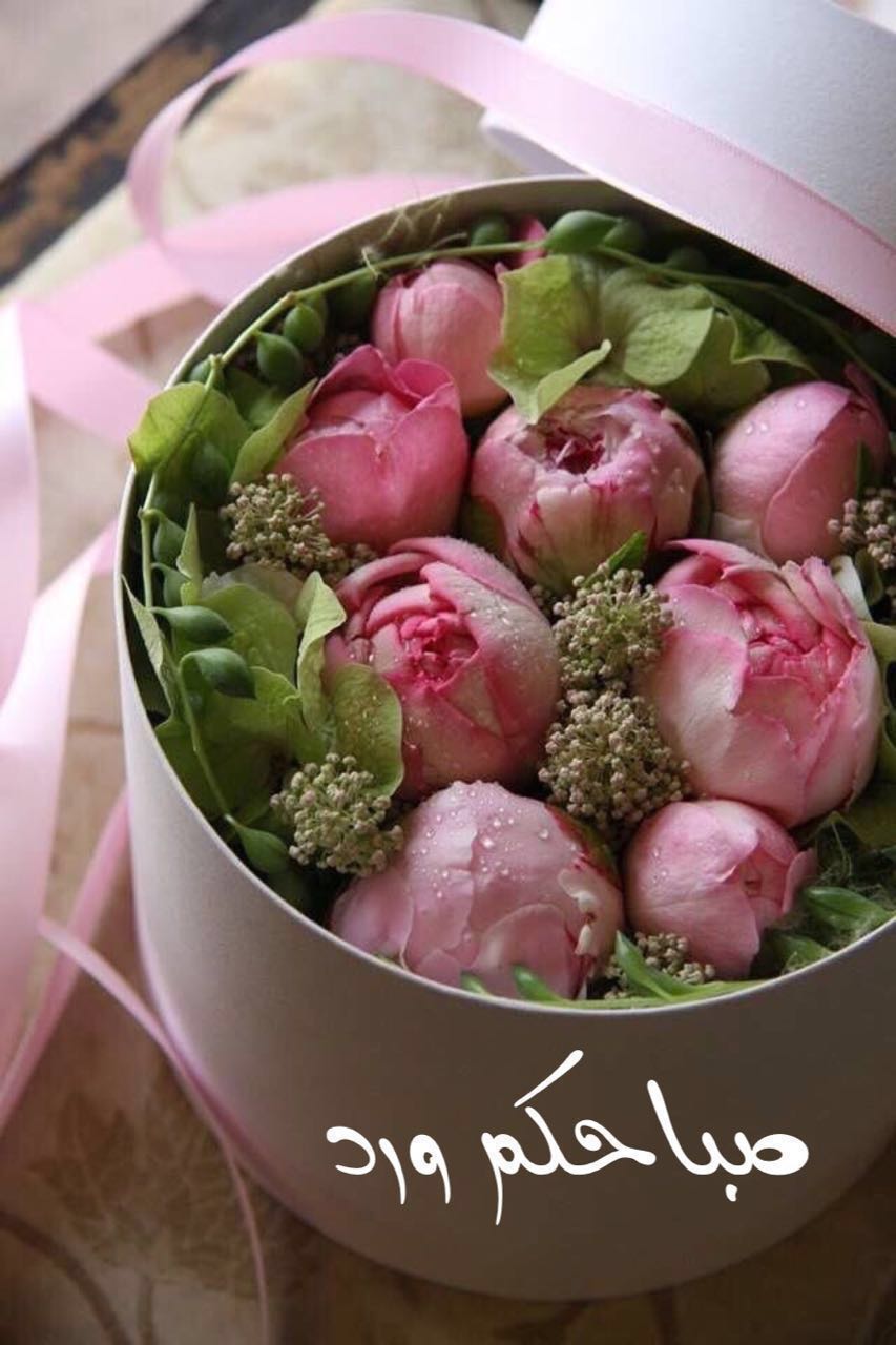 اضغط على الصورة لعرض أكبر.&nbsp;

الإسم:	IMG-20160516-WA0029.jpg&nbsp;
مشاهدات:	1&nbsp;
الحجم:	104.5 كيلوبايت&nbsp;
الهوية:	861577