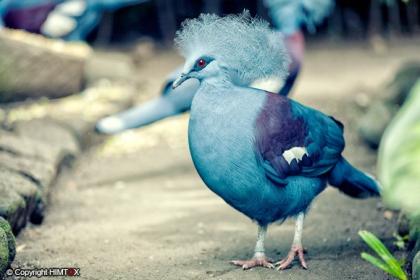 اضغط على الصورة لعرض أكبر.&nbsp;

الإسم:	68.jpg&nbsp;
مشاهدات:	1&nbsp;
الحجم:	19.6 كيلوبايت&nbsp;
الهوية:	849474