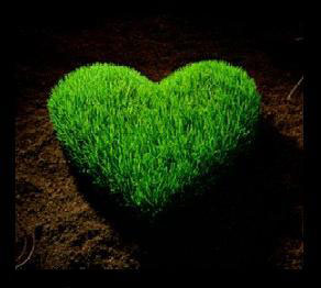 اضغط على الصورة لعرض أكبر.&nbsp;

الإسم:	1.jpg&nbsp;
مشاهدات:	1&nbsp;
الحجم:	15.1 كيلوبايت&nbsp;
الهوية:	849211