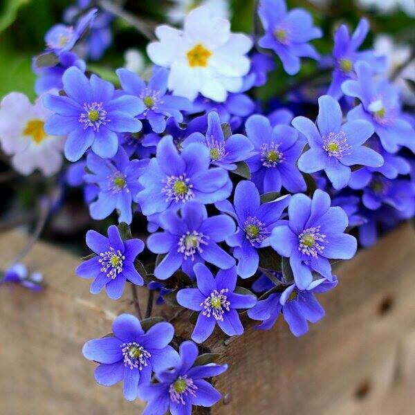 اضغط على الصورة لعرض أكبر.&nbsp;

الإسم:	image-d7afa88bd90fcac15ae6aa6ed056e39c42e05bcbd7795b93b5de849f1eed0166-V.jpg&nbsp;
مشاهدات:	1&nbsp;
الحجم:	238.4 كيلوبايت&nbsp;
الهوية:	864038