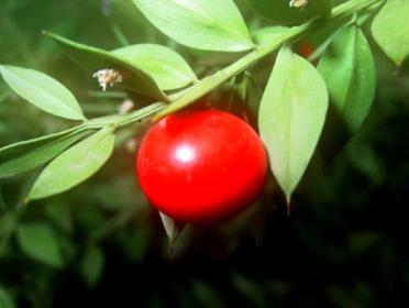 اضغط على الصورة لعرض أكبر.&nbsp;

الإسم:	76.jpg&nbsp;
مشاهدات:	1&nbsp;
الحجم:	13.1 كيلوبايت&nbsp;
الهوية:	849565