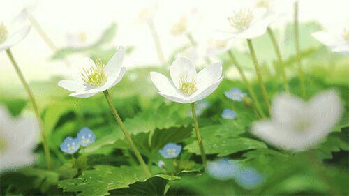 اضغط على الصورة لعرض أكبر.&nbsp;

الإسم:	photo_2018-04-11_22-08-22.jpg&nbsp;
مشاهدات:	1&nbsp;
الحجم:	19.1 كيلوبايت&nbsp;
الهوية:	862104