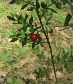 اضغط على الصورة لعرض أكبر.&nbsp;

الإسم:	79.jpg&nbsp;
مشاهدات:	1&nbsp;
الحجم:	17.3 كيلوبايت&nbsp;
الهوية:	849567