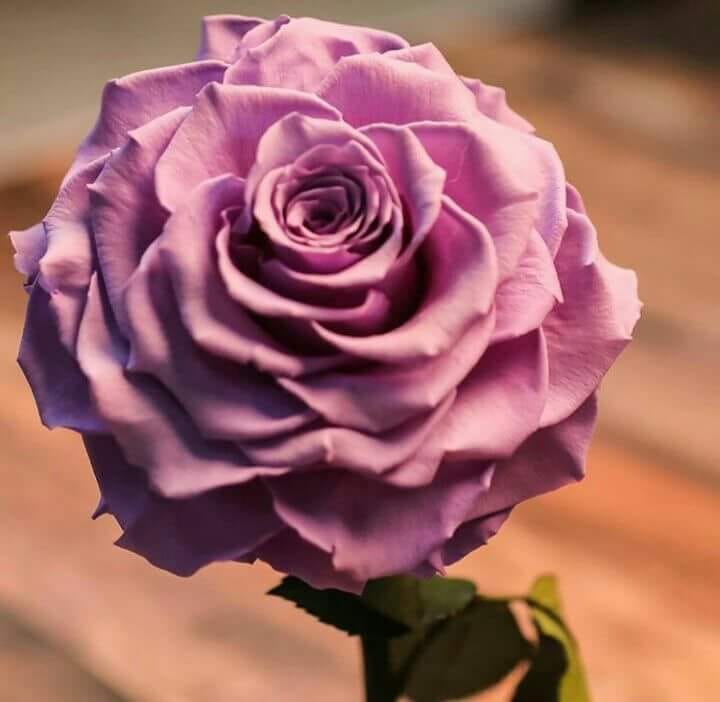 اضغط على الصورة لعرض أكبر.&nbsp;

الإسم:	31398311_774574862734008_4172569034168108518_n.jpg&nbsp;
مشاهدات:	2&nbsp;
الحجم:	38.9 كيلوبايت&nbsp;
الهوية:	841083