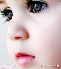 اضغط على الصورة لعرض أكبر.&nbsp;

الإسم:	imagesونتالب.jpg&nbsp;
مشاهدات:	1&nbsp;
الحجم:	5.0 كيلوبايت&nbsp;
الهوية:	855421