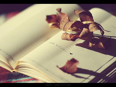 اضغط على الصورة لعرض أكبر.&nbsp;

الإسم:	فارغ.jpg&nbsp;
مشاهدات:	1&nbsp;
الحجم:	20.2 كيلوبايت&nbsp;
الهوية:	859868