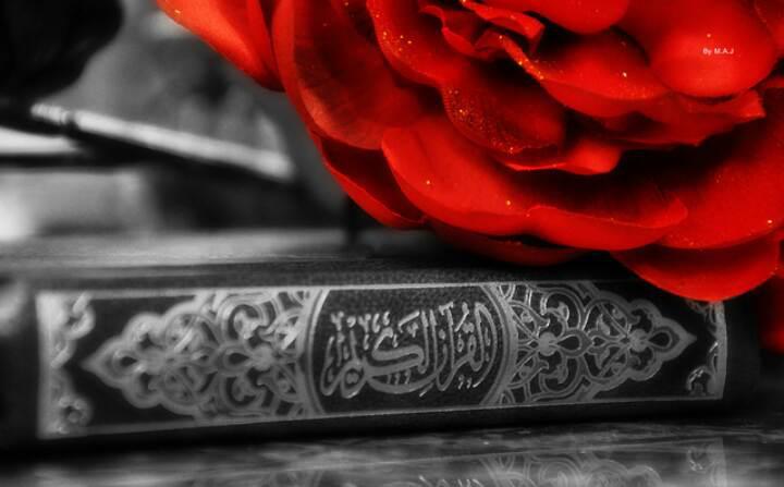 اضغط على الصورة لعرض أكبر.&nbsp;

الإسم:	photo_2016-11-27_17-27-59.jpg&nbsp;
مشاهدات:	1&nbsp;
الحجم:	34.9 كيلوبايت&nbsp;
الهوية:	859985