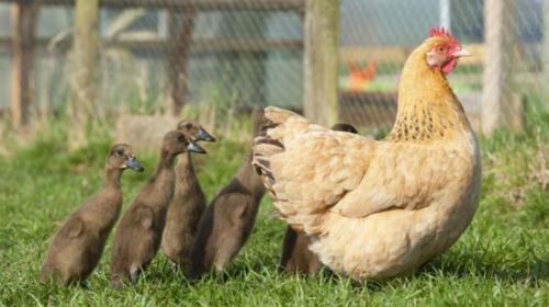 اضغط على الصورة لعرض أكبر.&nbsp;

الإسم:	40.jpg&nbsp;
مشاهدات:	1&nbsp;
الحجم:	24.5 كيلوبايت&nbsp;
الهوية:	849383