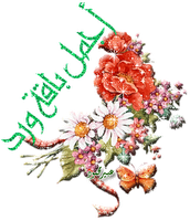 اضغط على الصورة لعرض أكبر.&nbsp;

الإسم:	1247flowersabeermahmoud.png&nbsp;
مشاهدات:	3&nbsp;
الحجم:	59.1 كيلوبايت&nbsp;
الهوية:	830363