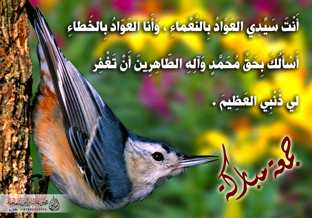 اضغط على الصورة لعرض أكبر.&nbsp;

الإسم:	rpic.phpصص.jpg&nbsp;
مشاهدات:	1&nbsp;
الحجم:	129.8 كيلوبايت&nbsp;
الهوية:	861337