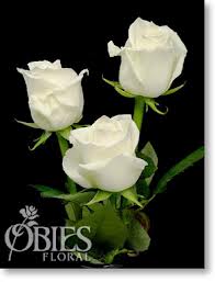 اضغط على الصورة لعرض أكبر.&nbsp;

الإسم:	images (82).jpg&nbsp;
مشاهدات:	1&nbsp;
الحجم:	7.3 كيلوبايت&nbsp;
الهوية:	852729