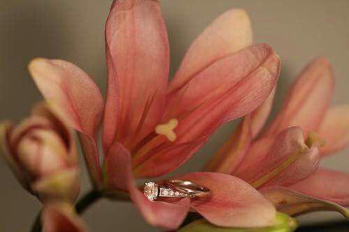 اضغط على الصورة لعرض أكبر.&nbsp;

الإسم:	photo_2017-06-23_17-00-10.jpg&nbsp;
مشاهدات:	1&nbsp;
الحجم:	16.2 كيلوبايت&nbsp;
الهوية:	861410