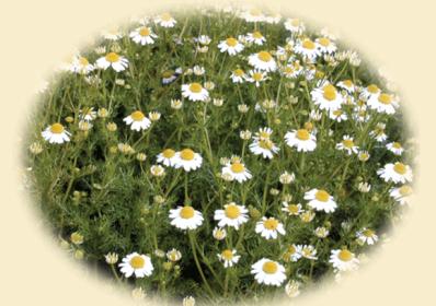 اضغط على الصورة لعرض أكبر.&nbsp;

الإسم:	78-2.jpg&nbsp;
مشاهدات:	1&nbsp;
الحجم:	24.9 كيلوبايت&nbsp;
الهوية:	852281