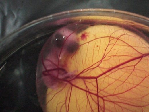 اضغط على الصورة لعرض أكبر.&nbsp;

الإسم:	7.jpg&nbsp;
مشاهدات:	1&nbsp;
الحجم:	30.7 كيلوبايت&nbsp;
الهوية:	847364