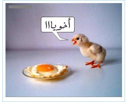 اضغط على الصورة لعرض أكبر.&nbsp;

الإسم:	14.jpg&nbsp;
مشاهدات:	1&nbsp;
الحجم:	102.1 كيلوبايت&nbsp;
الهوية:	847370